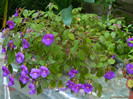 DSCN8094
