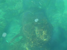 DSCN9359