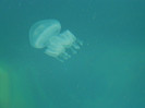 DSCN9362