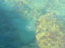 DSCN9402