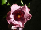 P1170201