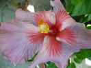P1170202