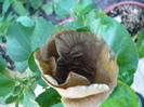 P1170206