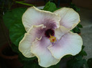 P1170217