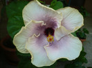P1170218
