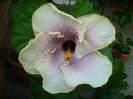 P1170216