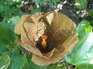 P1170220
