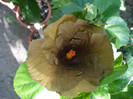 P1170224