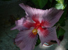 P1170228