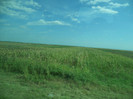 DSCN2751