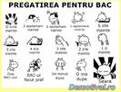 Pregatirea-pentru-bac