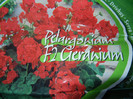 Red geranium F2