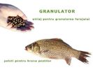 hrana_granulata_pesti