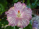 P1170239