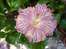P1170240