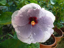 P1170242