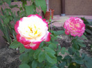 2012-08-16 14.18.51