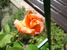 2012-08-16 14.20.20
