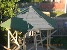 DSCN3891