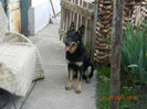 DSCN0666