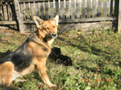 DSCN4944
