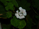 DSCN8128