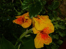 DSCN8129