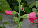 DSCN8152