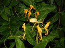 DSCN8153