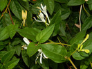 DSCN8154