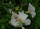 DSCN8155