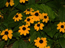 DSCN8165