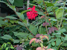 DSCN8169