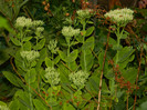 DSCN8170