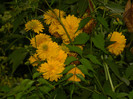 DSCN8176