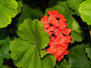 DSCN8177
