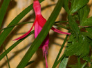 DSCN8185