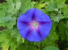 DSCN8191
