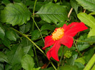 DSCN8192