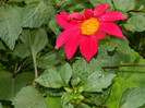 DSCN8194