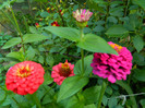 DSCN8197