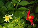 DSCN8200