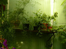 DSCN8224