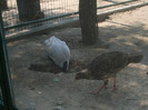 Picture 1020