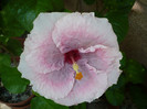P1170303