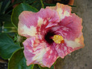 P1170305