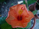 P1170312