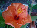 P1170314