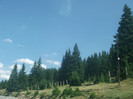 DSCF8106