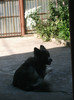 Picture 1351